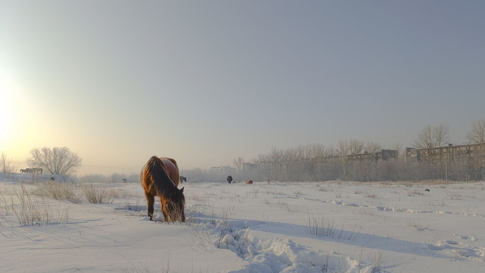 Фотография автора Руслан Токмагамбетов