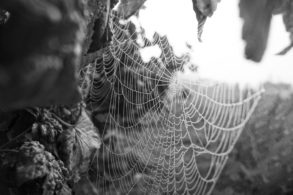 Photograph by Маргарита