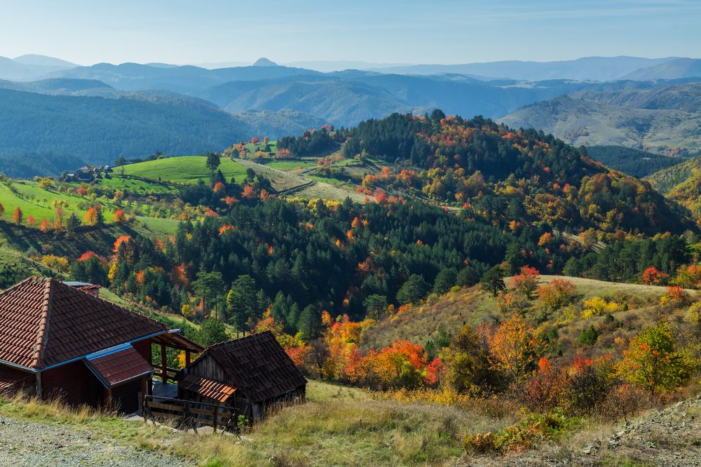 Summer-autamn in Zlatibor hills | Лето-осень на Златиборских холмах