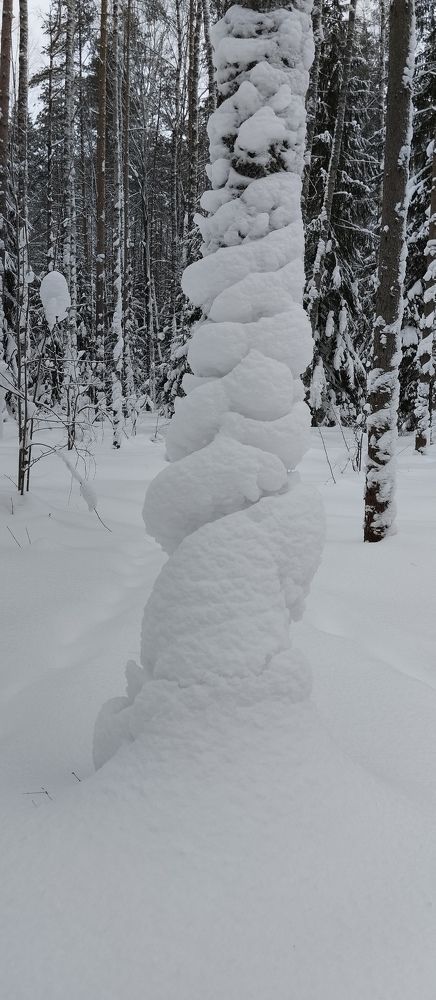 Photograph by Елена Малкова