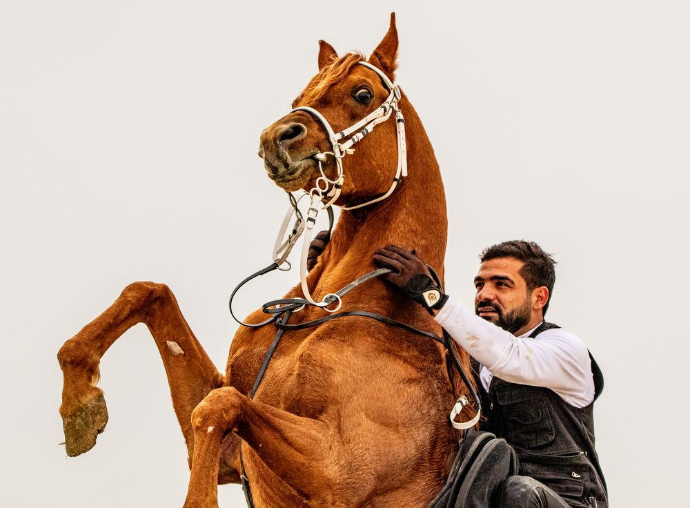 Photograph by Abed Abedaljalil