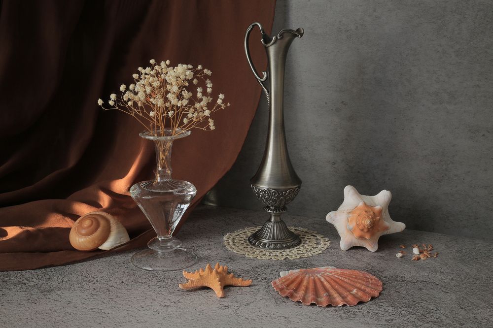 Натюрморт с раковинами