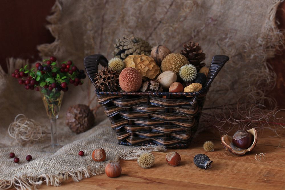 Осенняя коллекция