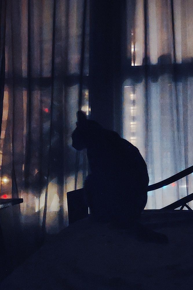 Photograph by Artsiom Kachatkou