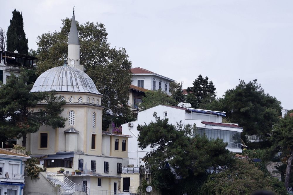 Фотография автора hanieh seyffard