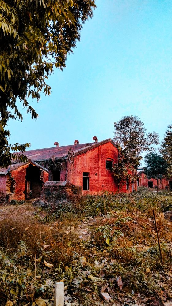 Фотография автора Ashish Mallick