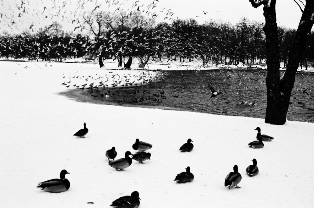 Photograph by Василий Селиванов