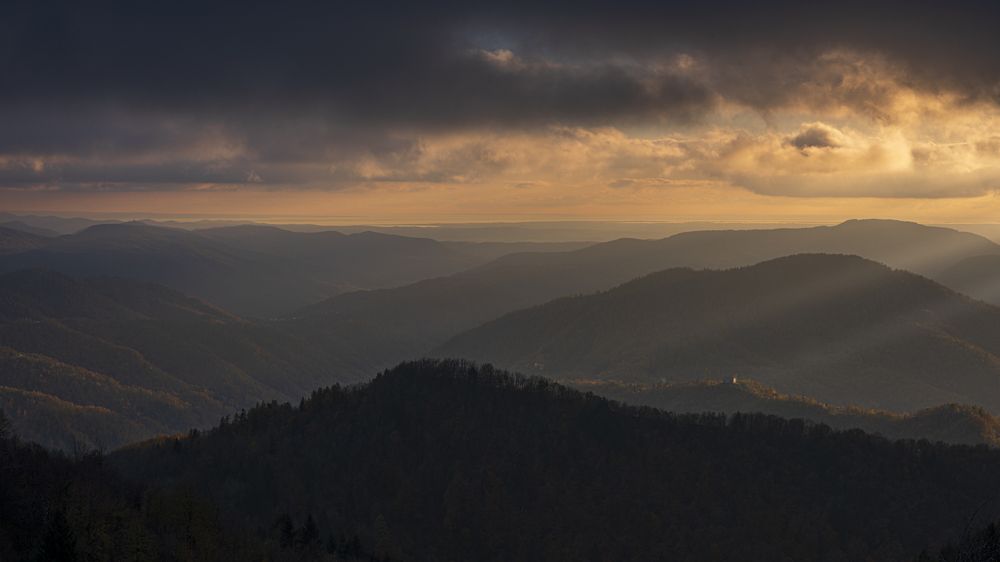 Photograph by Luca Menotti