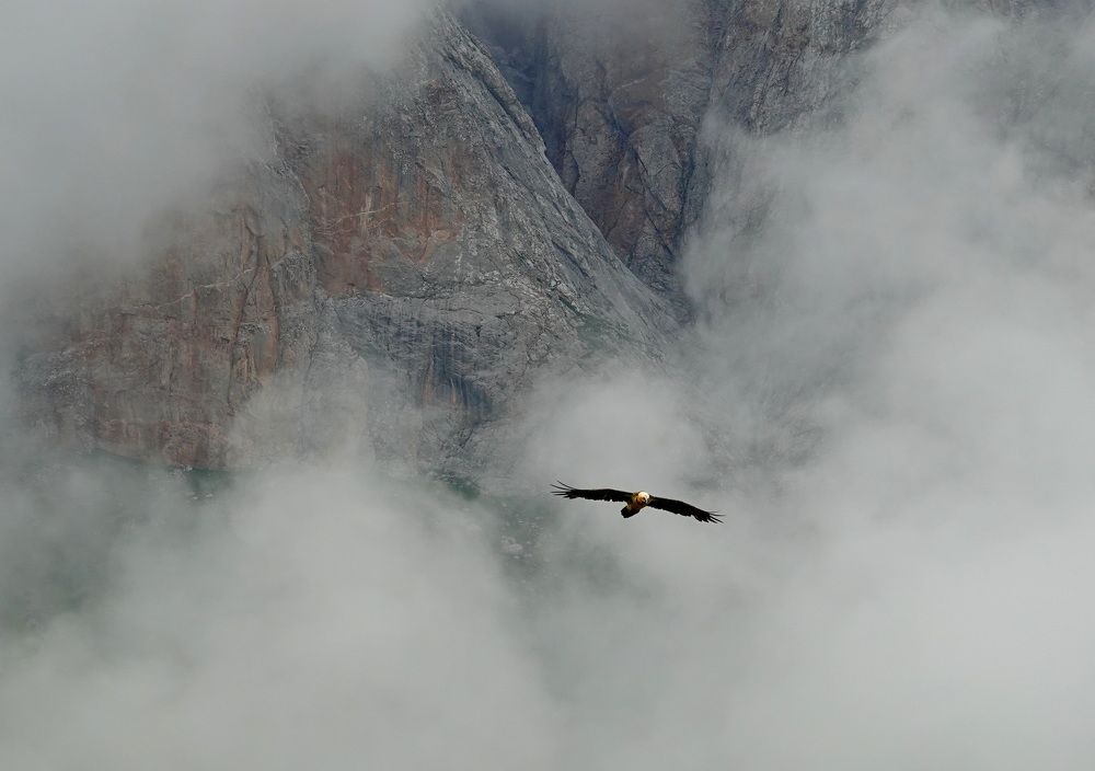 Photograph by Валентин Айвазов