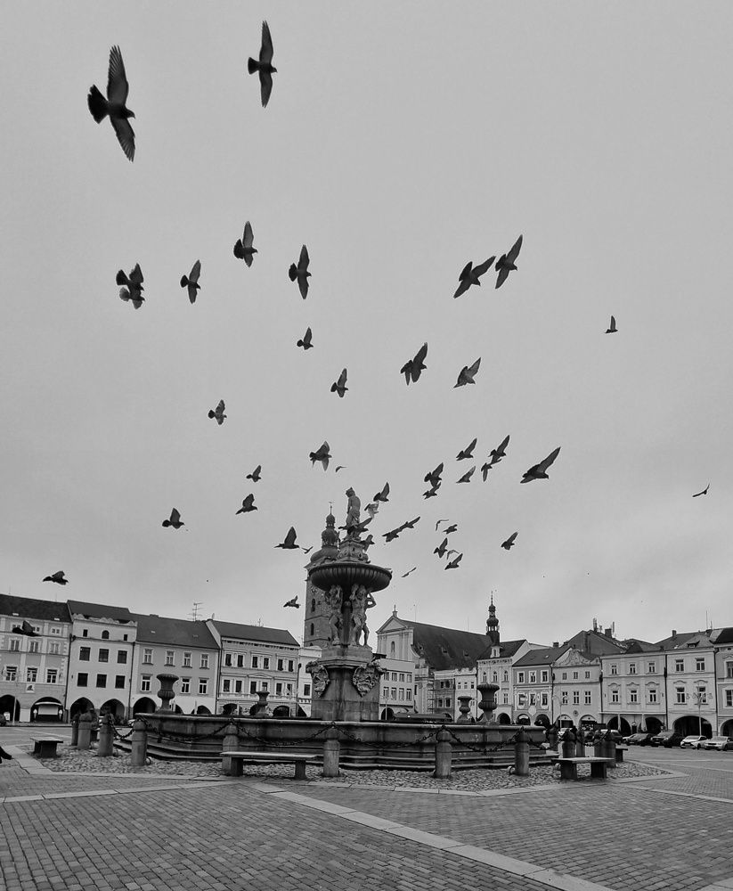 Photograph by Светлана