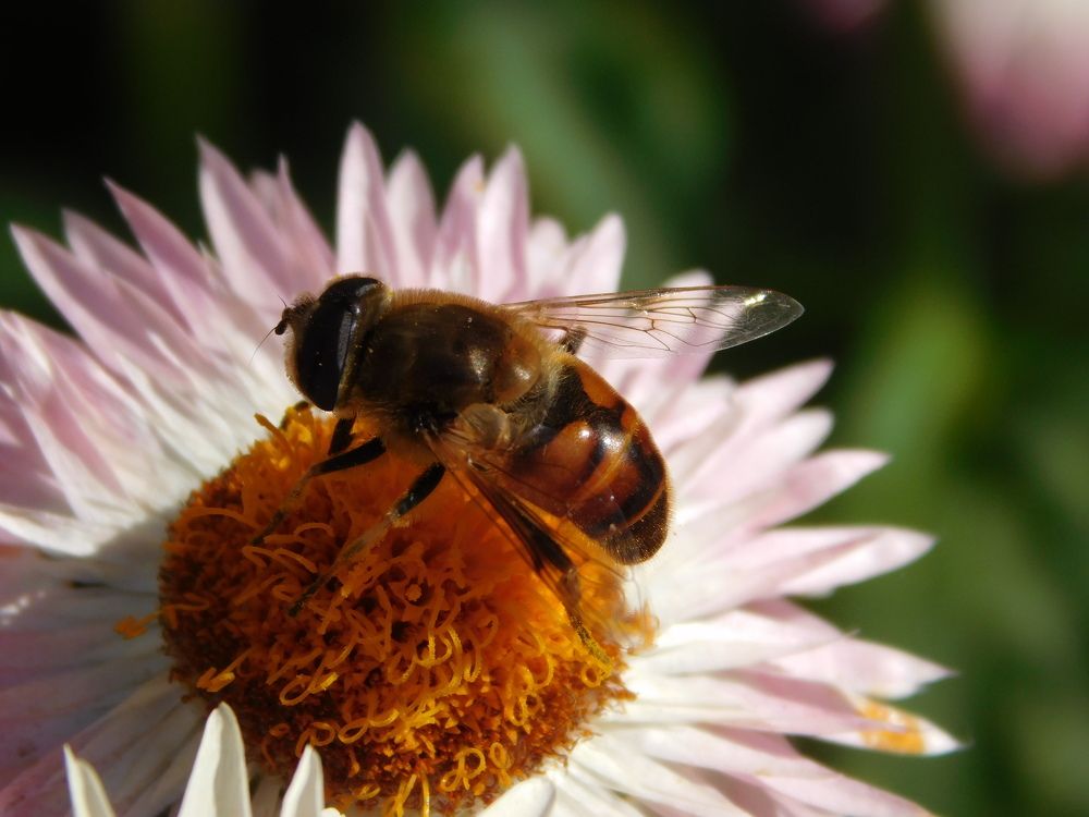 Photograph by Дмитрий Симагин