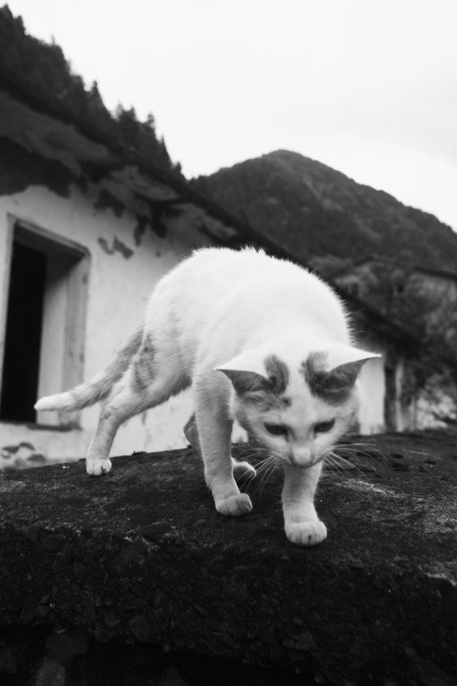 Photograph by Muhtadi Ikfair