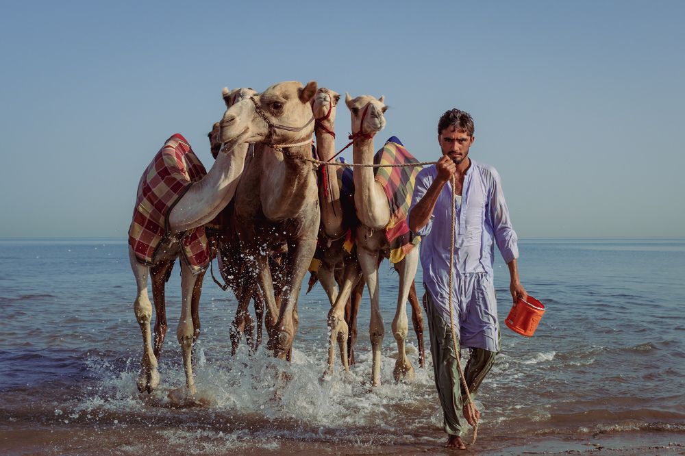 Photograph by Amar Habeeb