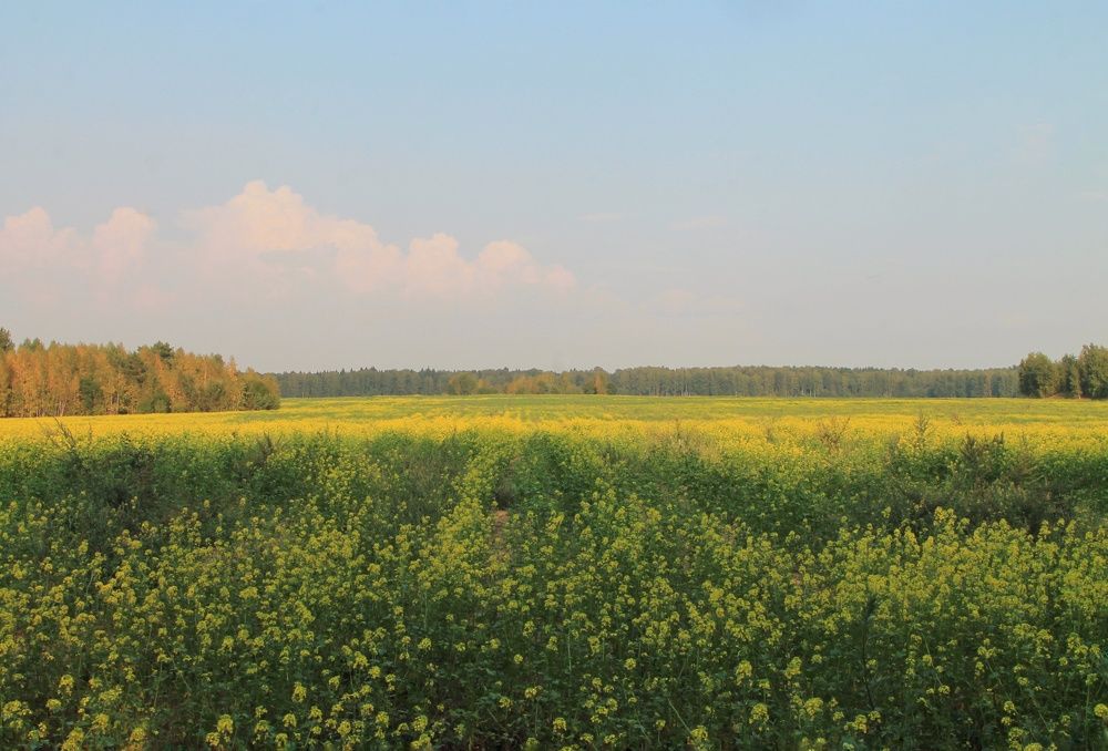 Photograph by Виктория Хмара