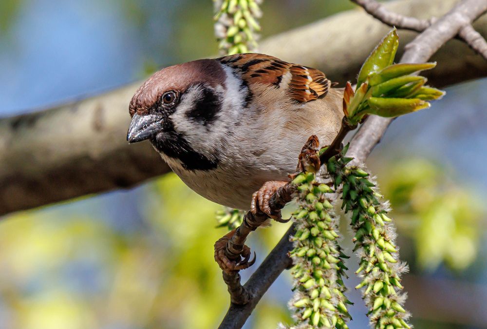 Photograph by Волынский Виктор