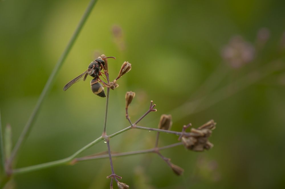Photograph by Octavio Do Nascimento