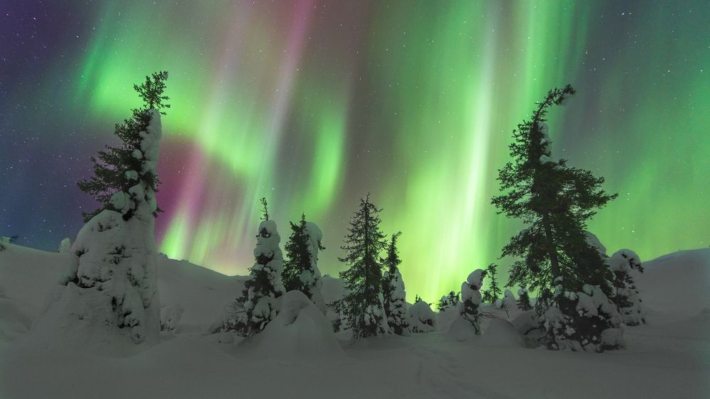 Photograph by Дмитрий Геращенко