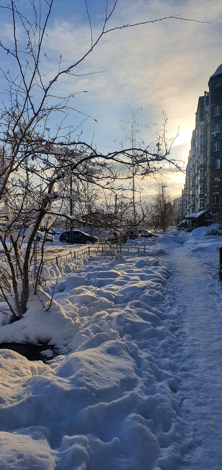 Photo #10394200