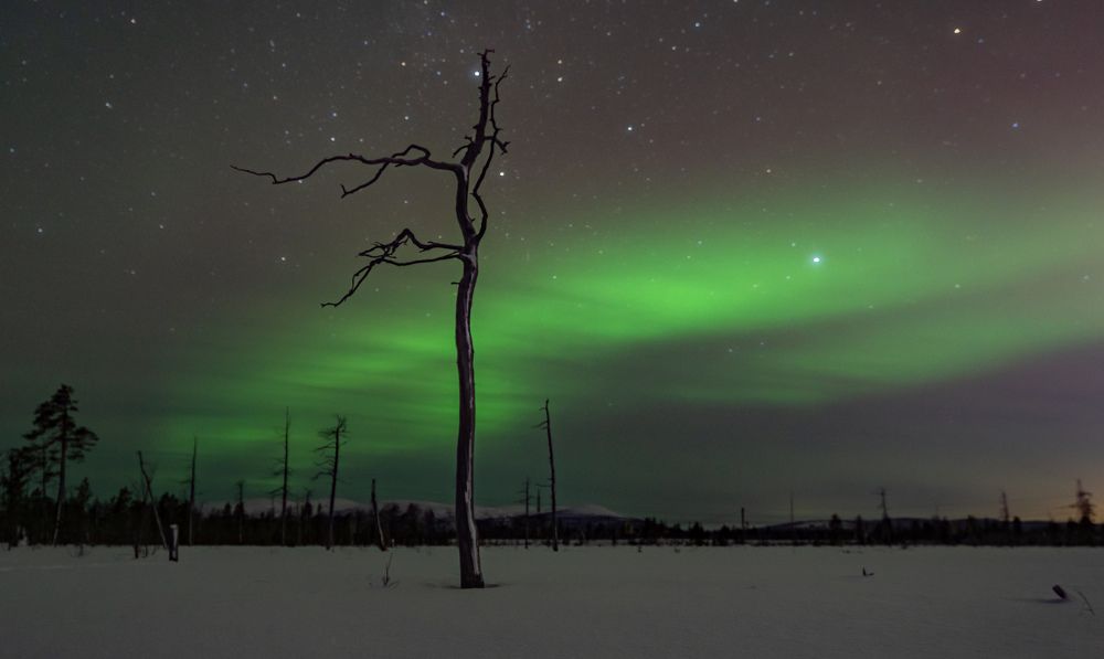 Photograph by Дмитрий Геращенко