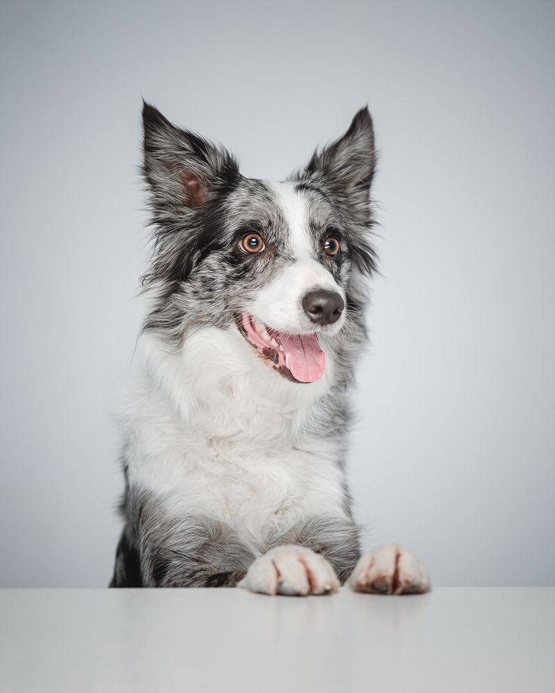 Photograph by Татьяна Полякова