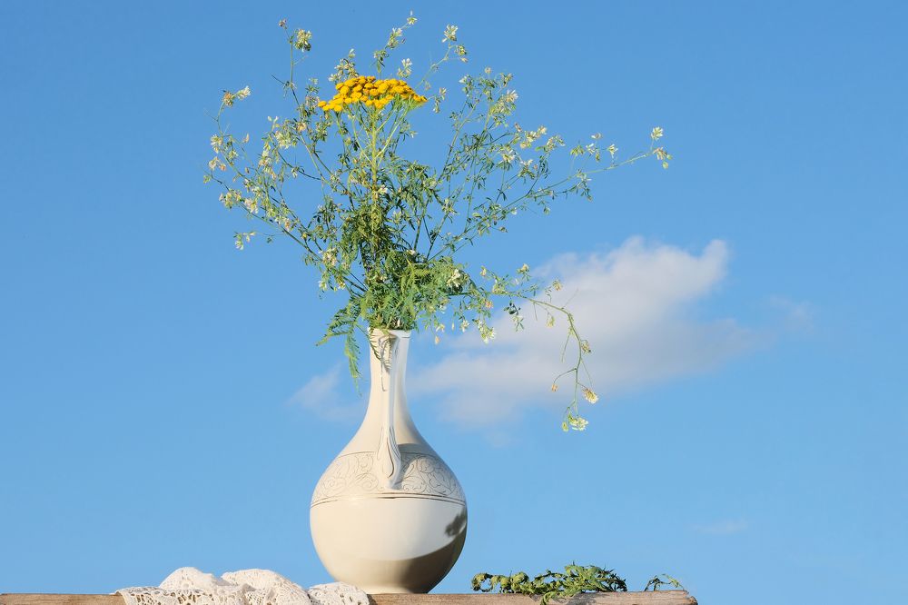 Летний натюрморт