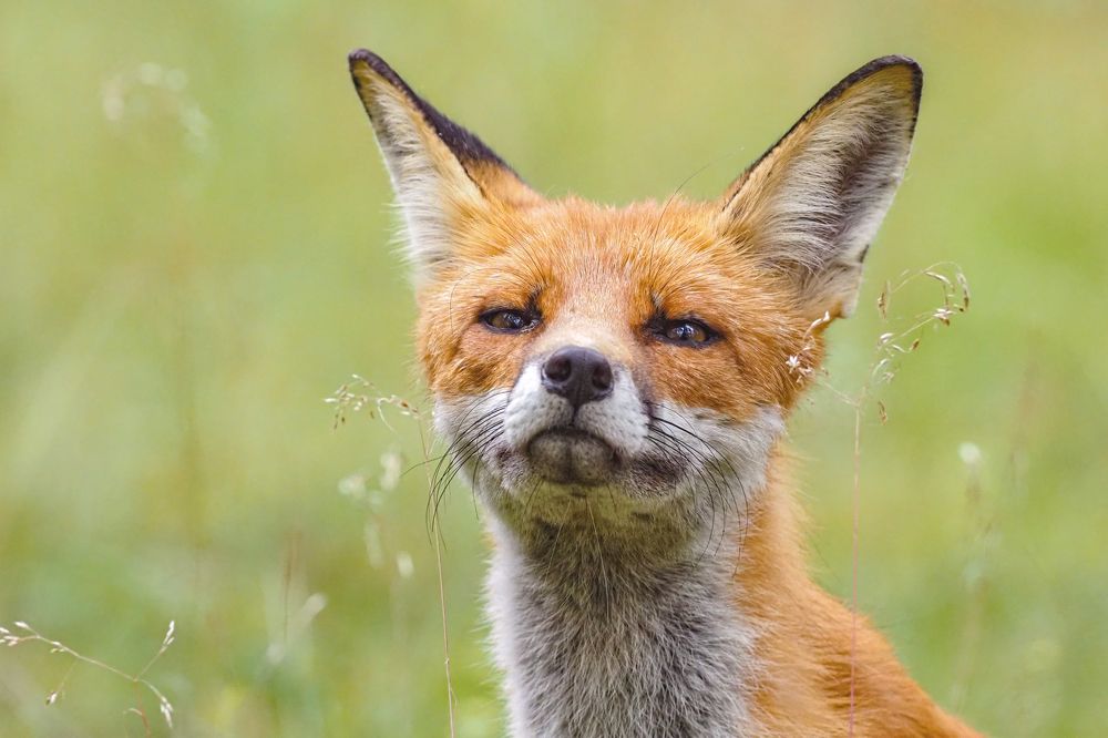 Фотография автора Mariya Belyalova