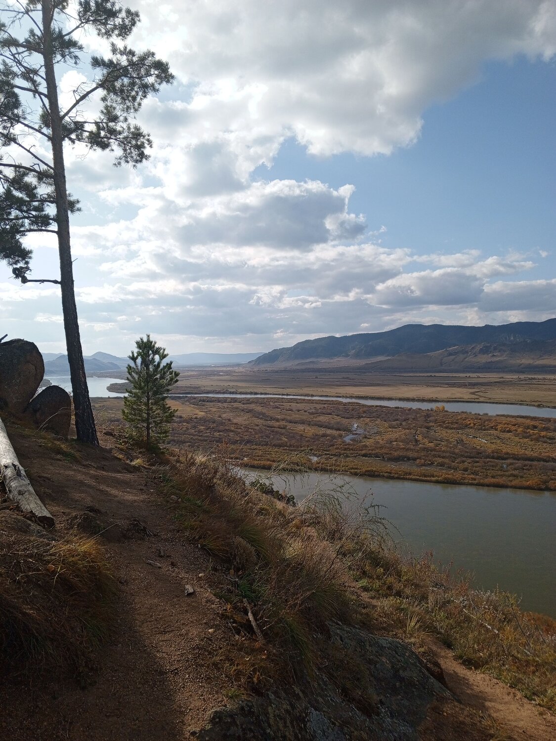 Photo #10394263