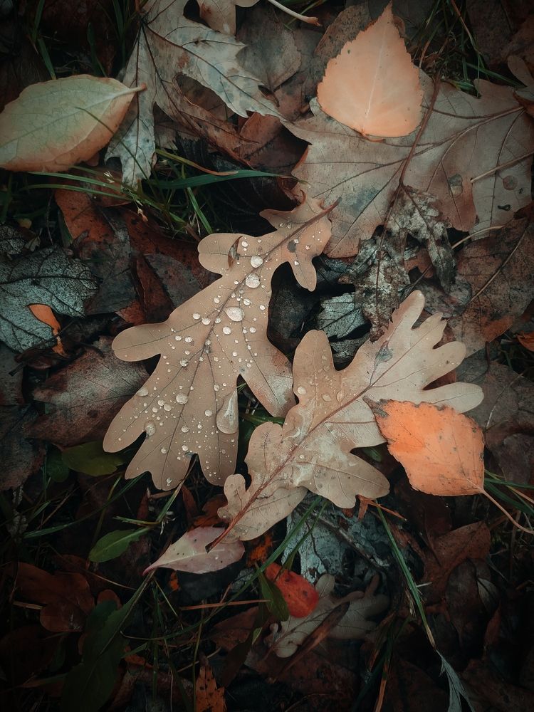 Photograph by Ирина Половцева