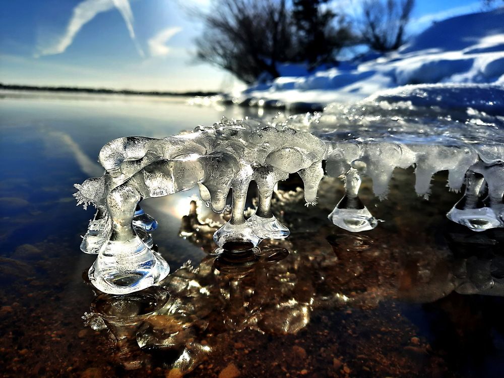 Ледяная сороконожка