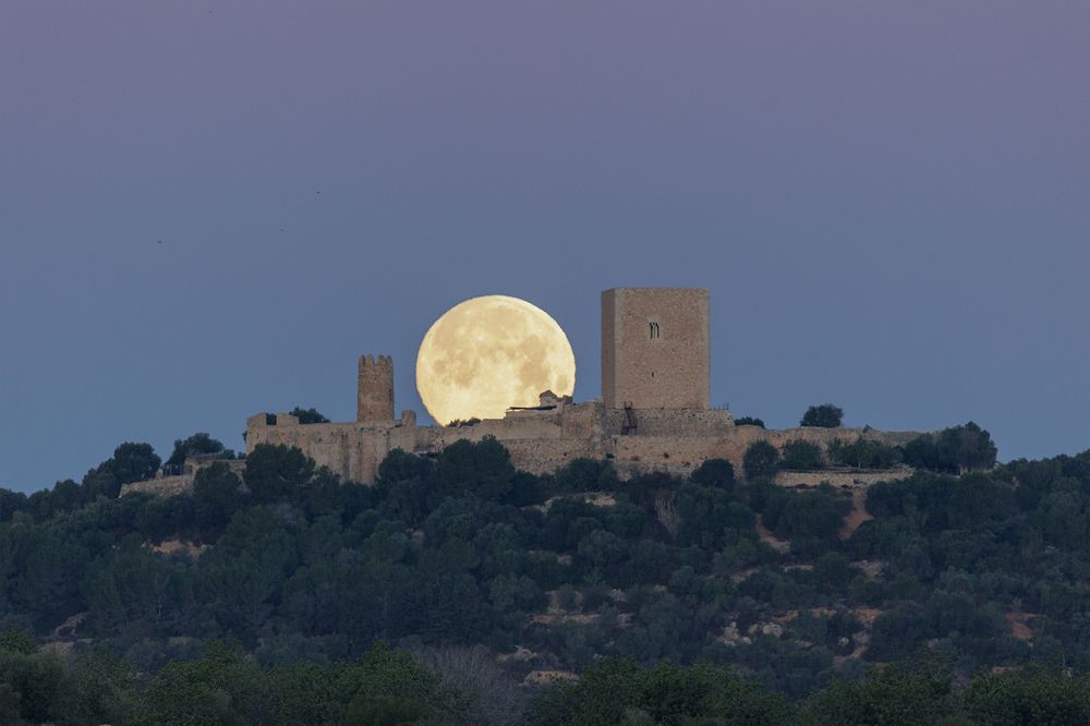 Photograph by Marc Calduch Marti