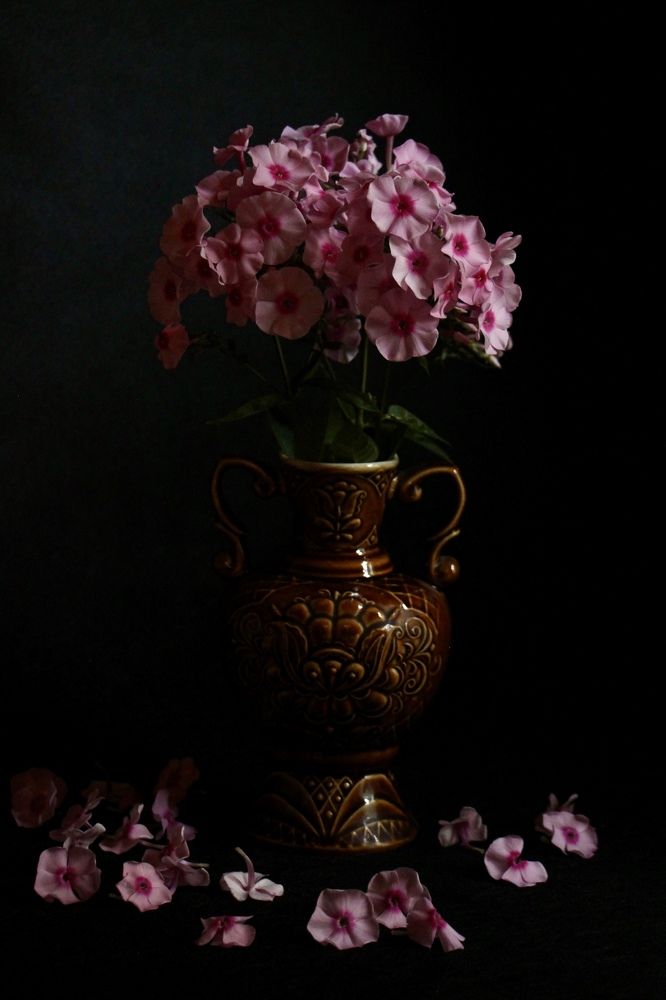 Photograph by Екатерина Антонова