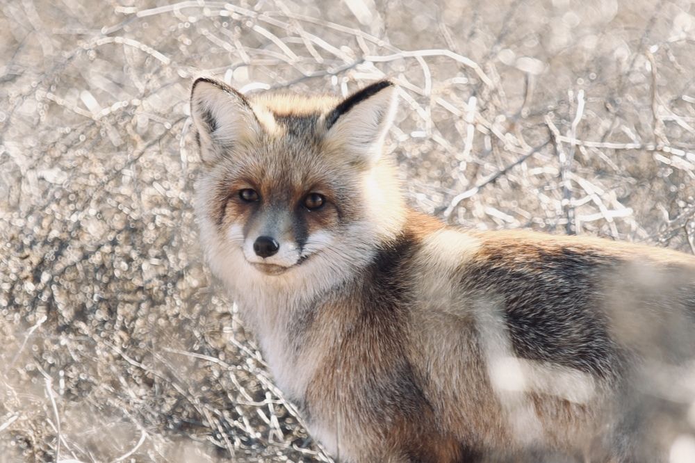 Photograph by Виктор Владимиров