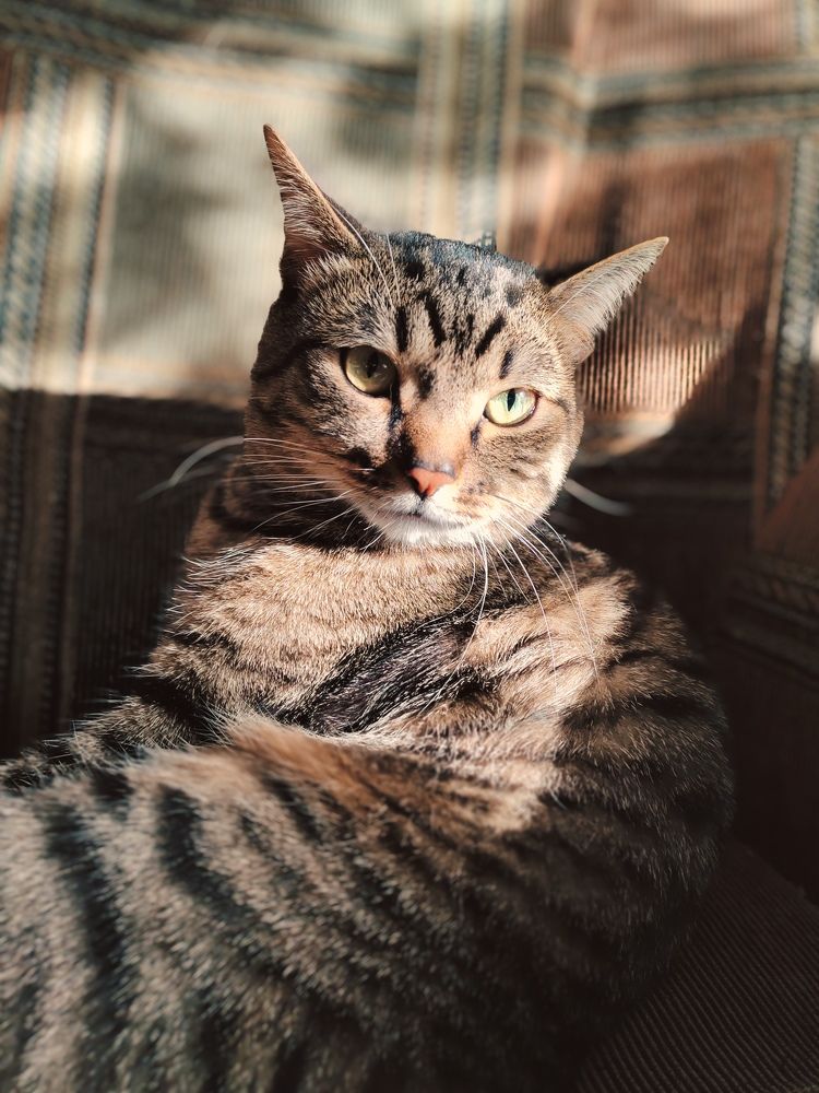 Photograph by Наталья Веряскина