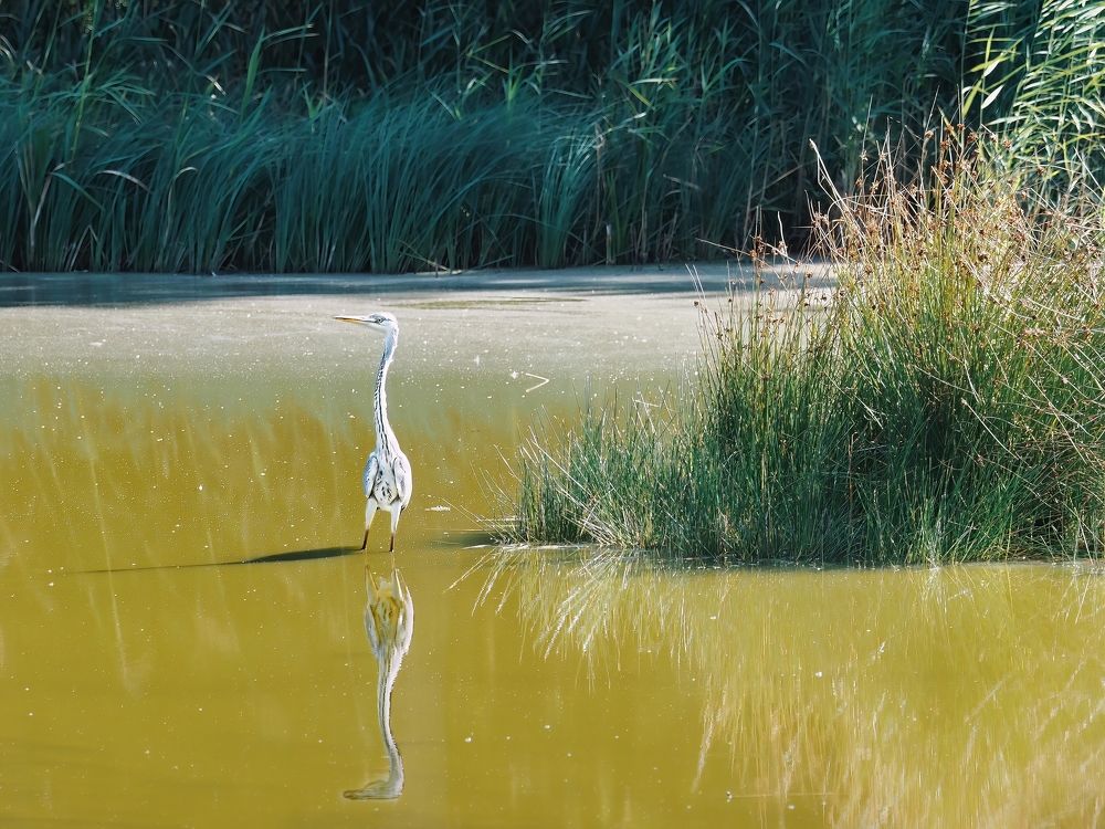 Photograph by Константин Поляков