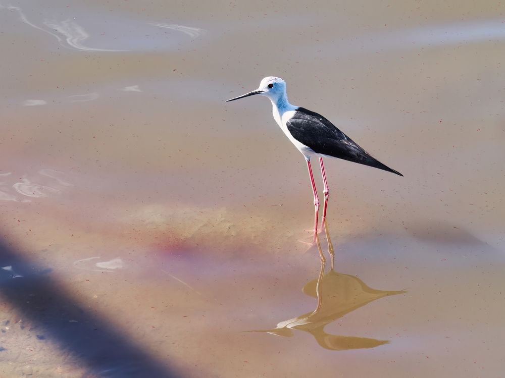 Photograph by Константин Поляков