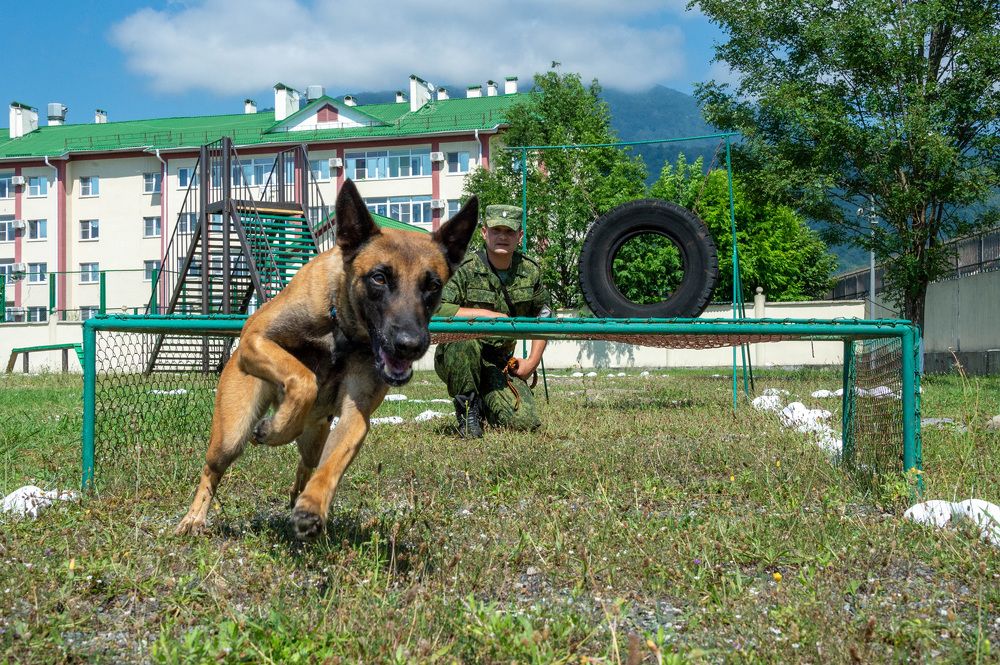 Photograph by Сергеев Айпалат