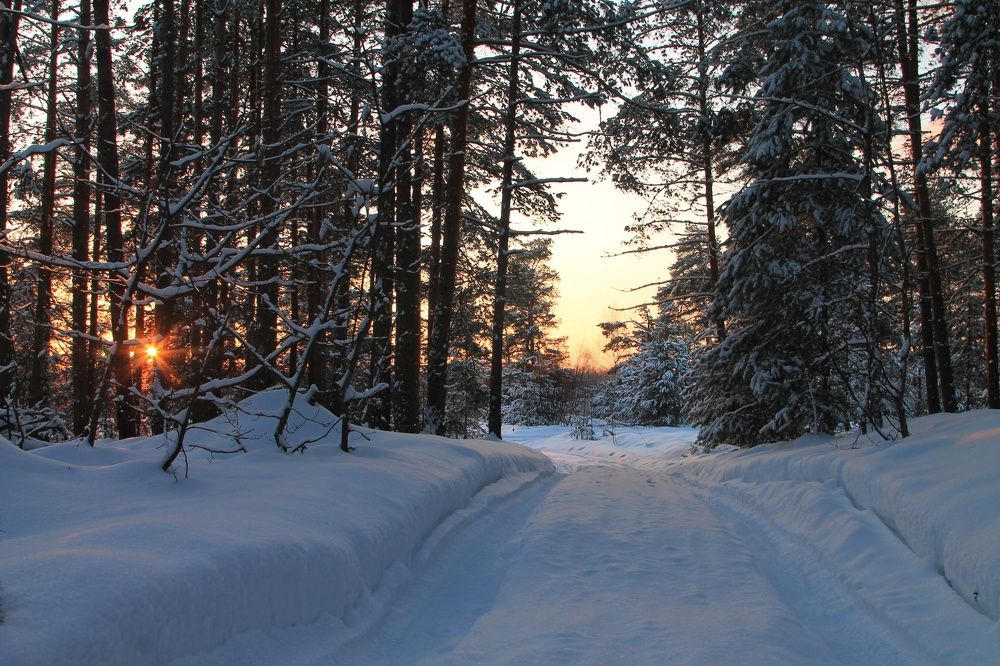 Photograph by Виктория Хмара