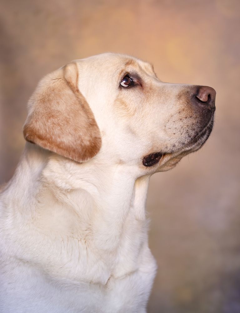 Photograph by Ольга