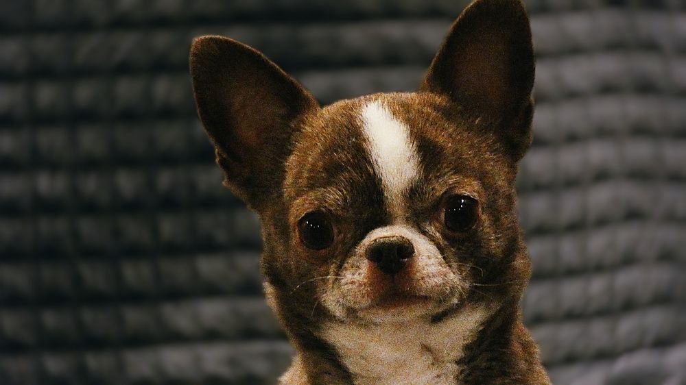 Photograph by Александр