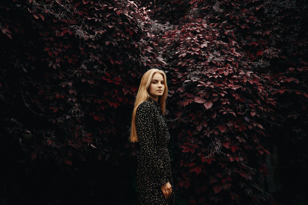 Photograph by Сергей Стрельцов