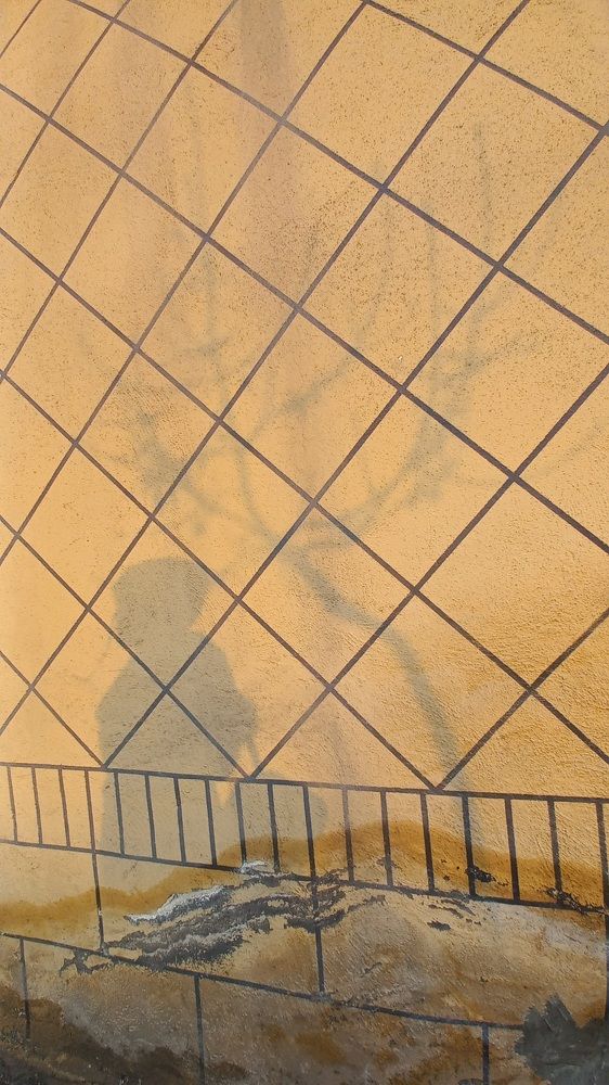 Photograph by fariba mahdaviasl