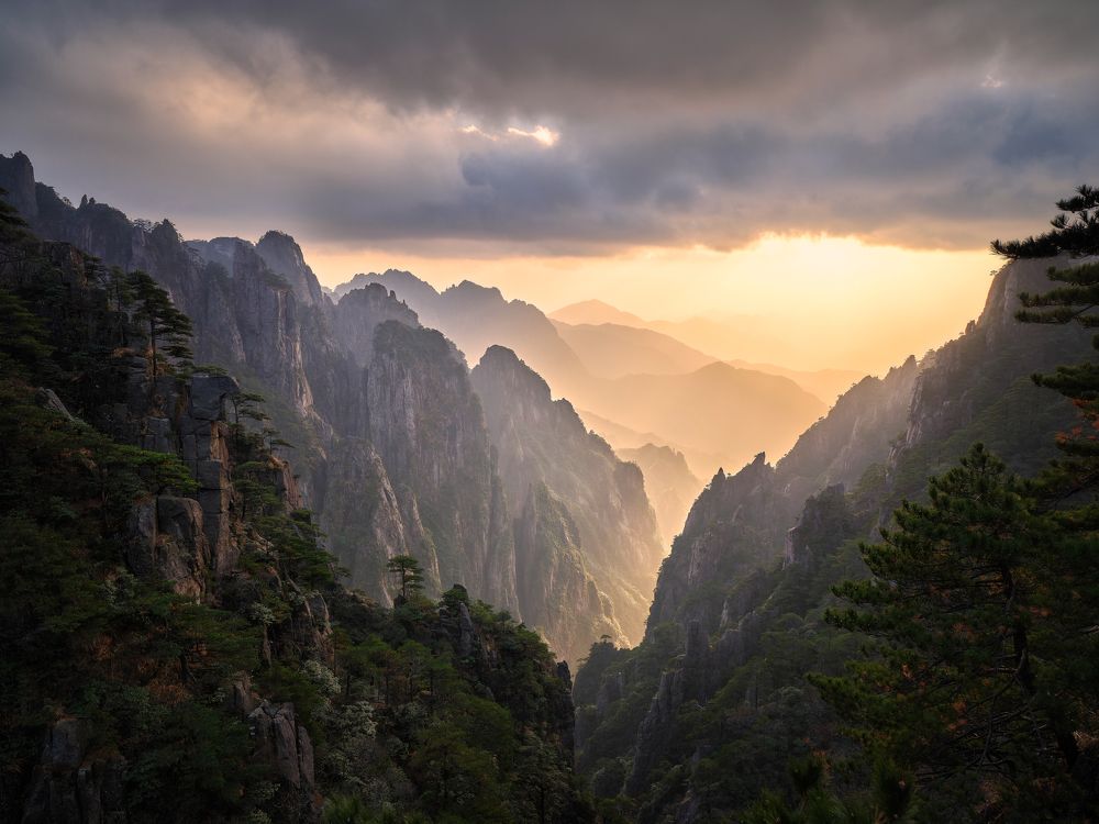 Photograph by Lee derek