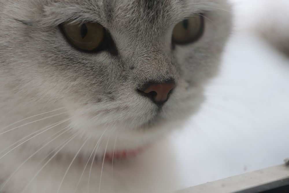 Photograph by Роман Богданов