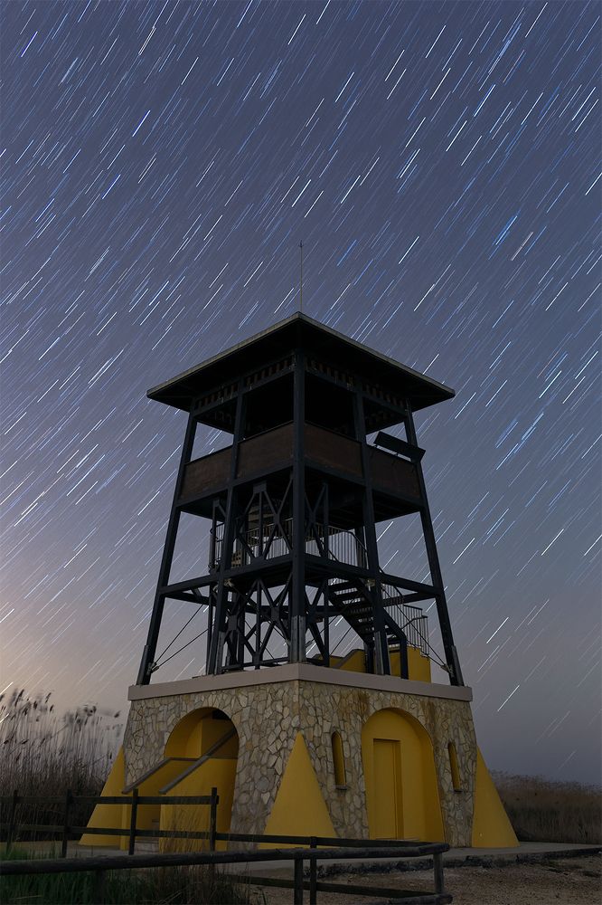 Photograph by Marc Calduch Marti