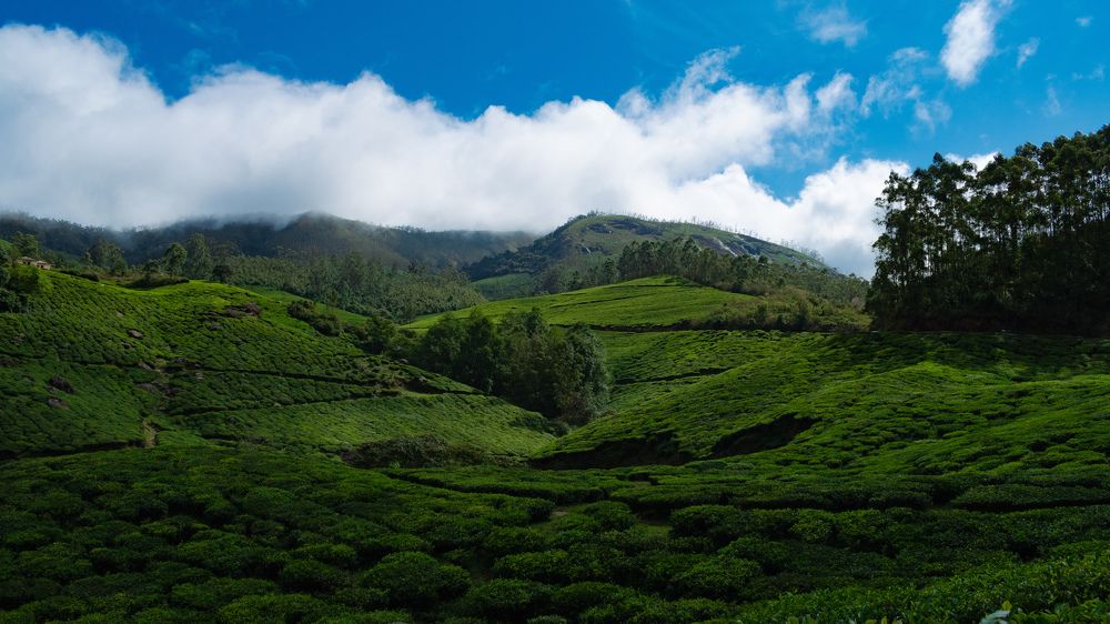 Photograph by Jagadeeshbabu Gnanasekaran
