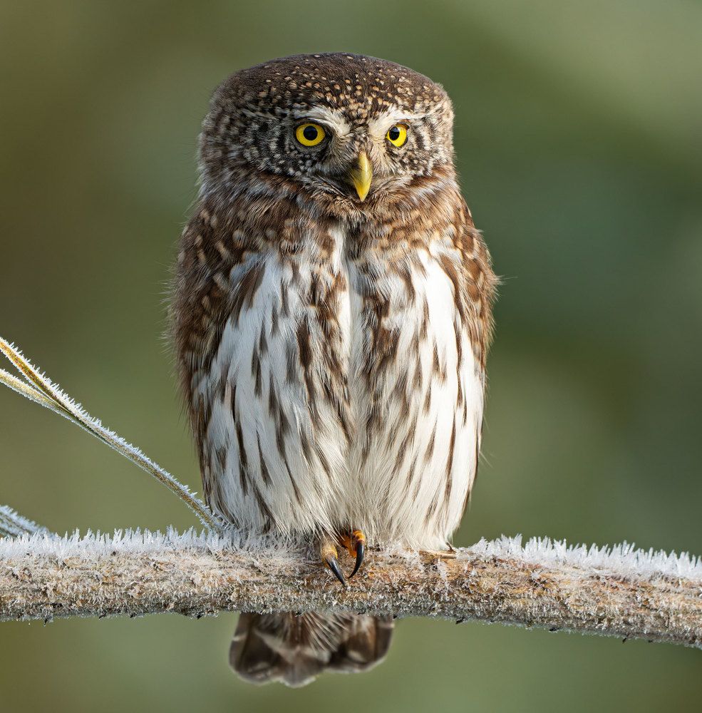 Photograph by Viktor Makarov