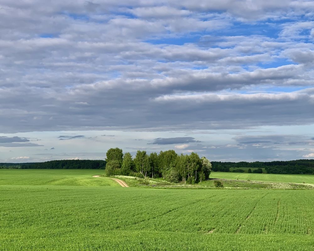 Photograph by v Stark