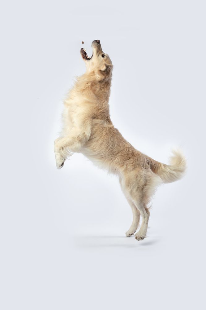 Фотография автора Ляйс Наталья