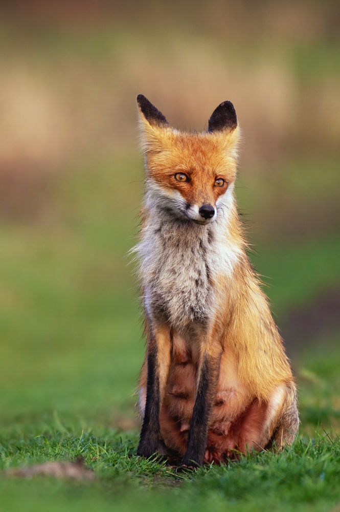 Photograph by Татьяна Жеребцова