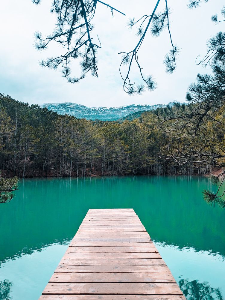 Фотография автора Евгений Петросян